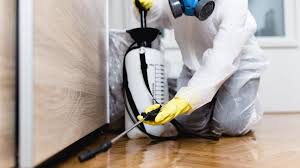 Best Pest Prevention Services  in Camp Point, IL